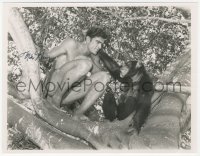 5y0539 MIKE HENRY signed 7x9 news photo 1965 in tree with Cheetah in Tarzan & the Valley of Gold!