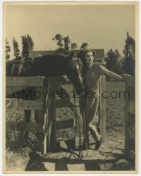 5z0189 LORETTA YOUNG deluxe 11x14 still 1940s she's at home hanging out with one of her horses!