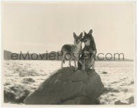 5z0256 RIN-TIN-TIN/NANETTE 11.25x14 still 1927 Warner Bros. German Shepherd dog stars at the beach!