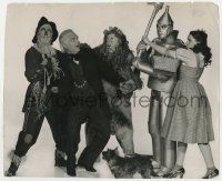5z0334 WIZARD OF OZ candid deluxe 9x11 still 1939 Garland, Bolger & Lahr stop Haley attacking Morgan!