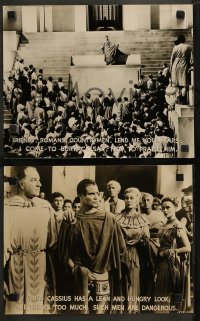 5z0356 JULIUS CAESAR 8 deluxe 10.25x13 stills 1953 Marlon Brando, James Mason, Louis Calhern