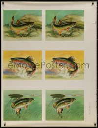 6a0307 TROUT IDENTIFICATION 38x50 special poster 1957 three different types of the fish by McKenzie!