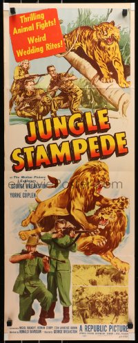 6b0531 JUNGLE STAMPEDE insert 1950 cool artwork of wild jungle animals, lion fight!