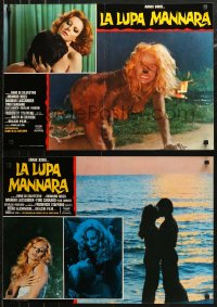 6b0857 LEGEND OF THE WOLF WOMAN group of 8 Italian 18x26 pbustas 1977 La lupa mannara, Wolf Woman!