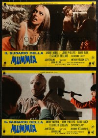 6b0855 MUMMY'S SHROUD group of 8 Italian 18x26 pbustas 1967 Hammer horror, Andre Morell, creature!