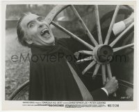 6c1048 DRACULA A.D. 1972 8.25x10 still 1972 best c/u of vampire Christopher Lee showing his fangs!