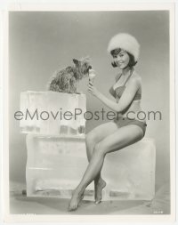 6c1386 QUICK, BEFORE IT MELTS 8x10.25 still 1965 sexiest Yvonne Craig in bikini w/ice cream & dog!
