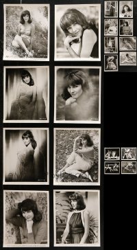 6d0650 LOT OF 20 JANICE RULE 8X10 STILLS 1967 great sexy portraits, close up & full-length!