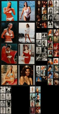 6d0716 LOT OF 70 RAQUEL WELCH 8X10 REPRO PHOTOS 1980s great portraits of the Hollywood sex symbol!