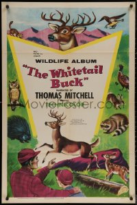 6h1522 WHITETAIL BUCK 1sh 1955 RKO nature documentary, art of deer & forest animals!