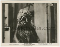 6m0019 KILLER SHREWS 8x10.25 still 1959 best close up of the snarling giant monster showing fangs!