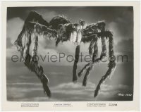 6m0025 TARANTULA 8x10.25 still 1955 great photographic close up of giant spider monster!
