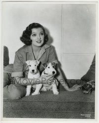 6p0267 MYRNA LOY deluxe 11.25x14 RE-STRIKE 1970s portrait of the MGM leading lady with terrier dogs!