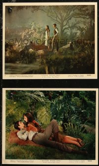 6r0062 GREEN MANSIONS 2 color 8x10 stills 1959 lovers Audrey Hepburn & Anthony Perkins in jungle!