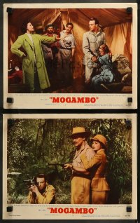 6r1234 MOGAMBO 2 LCs 1953 great images of Clark Gable, Grace Kelly & Ava Gardner in Africa!