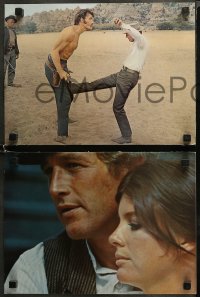 6r1101 BUTCH CASSIDY & THE SUNDANCE KID 3 color 10.5x14 stills 1969 Paul Newman, Katherine Ross!