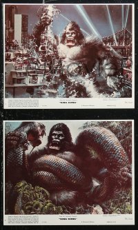 6r0025 KING KONG 8 8x10 mini LCs 1976 great images of sexy Jessica Lange & BIG Ape + Berkey artwork!