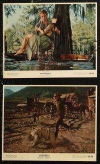 6r0029 NEVADA SMITH 8 color 8x10 stills 1966 Steve McQueen in action, Kennedy, Keith, Pleshette!