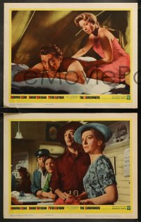 6r0856 SUNDOWNERS 8 LCs 1961 great images of Australians Deborah Kerr, Robert Mitchum, Peter Ustinov!