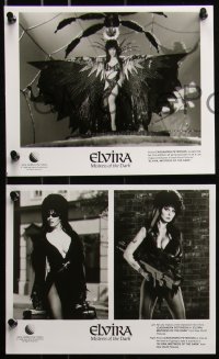 6r0574 ELVIRA MISTRESS OF THE DARK presskit w/ 10 stills 1988 great images of Cassandra Peterson!