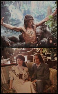 6s0006 GREYSTOKE group of 4 color 16x20 stills 1983 Christopher Lambert as Tarzan, Lord of the Apes!
