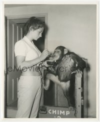 6w0138 DOCTOR DOLITTLE candid 8.25x10 still 1967 animal handler feeding Chee-Chee the chimpanzee!