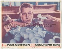 6w0857 COOL HAND LUKE LC #8 1967 great close up of Paul Newman in classic egg eating scene!
