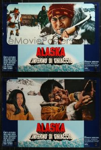 7b0972 ALASKA STORY group of 6 Italian 18x26 pbustas 1978 Hiomichi 's Arasuka monogatari, different!