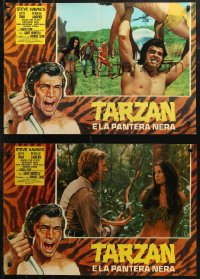 7b1025 TARZAN & THE BROWN PRINCE group of 4 Italian 18x27 pbustas 1972 Crovato border art of Hawkes!