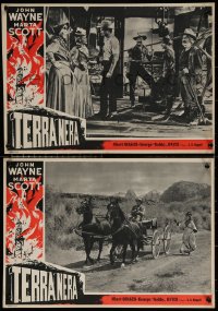 7b1096 IN OLD OKLAHOMA group of 7 Italian 14x19 pbustas 1952 John Wayne, Martha Scott, Albert Dekker!
