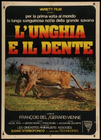 7c0127 FANG & CLAW Italian 1p 1976 great image of female lion killing her fresh kill after hunting!