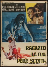 7c0223 LEARNING TREE Italian 1p 1970 different Olivetti art, directed by Gordon Parks, rare!