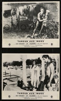7d0171 TARZAN GOES TO INDIA 3 French LCs R1970s images of Jock Mahoney as the King of the Jungle!