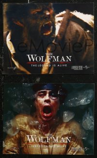 7d0029 WOLFMAN 8 non-U.S. LCs 2010 cool image of Benicio Del Toro as monster in title role!