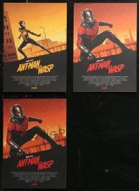 7f0394 LOT OF 3 UNFOLDED ANT-MAN & THE WASP ENGLISH 8X12 POSTERS 2018 Marvel, Matt Ferguson art!