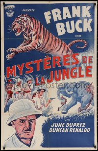 7g0004 TIGER FANGS Moroccan 1940s Frank Buck, great art of big cat & elephants!