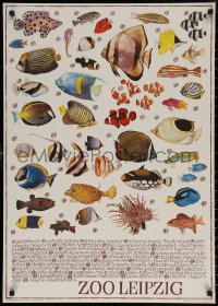 7g0799 ZOO LEIPZIG 23x32 East German special poster 1980 great art & info on fish species!