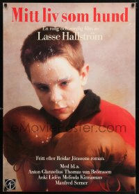 7g0013 MY LIFE AS A DOG Swedish 1987 Lasse Hallstrom's Mitt liv som hund, boxing kid covered in milk