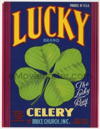 7h0282 LUCKY 5x7 produce crate label 1950s four leaf clover art, celery from Salinas, California!