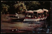 7h0436 DISNEYLAND postcard 1959 Tropical Rivers of the World boat ride surrounded by hippos!