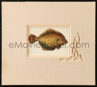 7h0498 PLAICE 4x6 art print in 10x11 matted display 1920s great art of right-eyed flatfish!