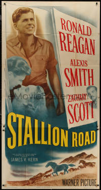 7j0743 STALLION ROAD 3sh 1947 animal doctor Ronald Reagan, pretty Alexis Smith & Zachary Scott!