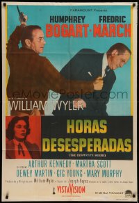 7j0191 DESPERATE HOURS Argentinean 1955 Humphrey Bogart attacking Fredric March, William Wyler