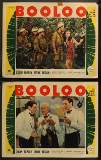 7k0930 BOOLOO 2 LCs 1938 man hunting Malayan white tiger is hunted himself by jungle natives!