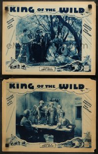 7k1023 KING OF THE WILD 2 chapter 12 LCs 1931 Boris Karloff shown in one card, Jungle Justice!