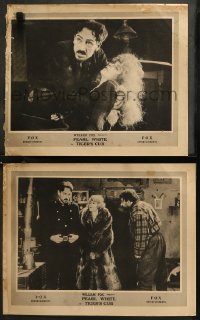 7k1151 TIGER'S CUB 2 LCs 1920 great images of silent actress Pearl White, Thomas Carrigan!