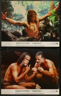 7k0592 GREYSTOKE 7 11x14 stills 1984 Christopher Lambert as Tarzan, Andie MacDowell!