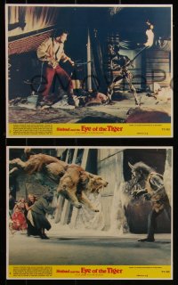 7k0020 SINBAD & THE EYE OF THE TIGER 8 8x10 mini LCs 1977 Ray Harryhausen, special effects scenes!