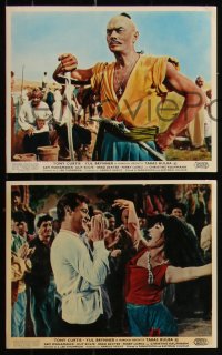 7k0022 TARAS BULBA 8 color English FOH LCs 1962 Tony Curtis & Yul Brynner in title role clash!