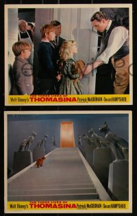 7k0040 THREE LIVES OF THOMASINA 6 color English FOH LCs 1964 Walt Disney, McGoohan, Hampshire, cat!